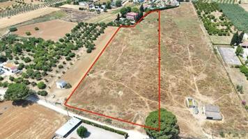 Terreno en venta en Olivares, Andalucia photo 0