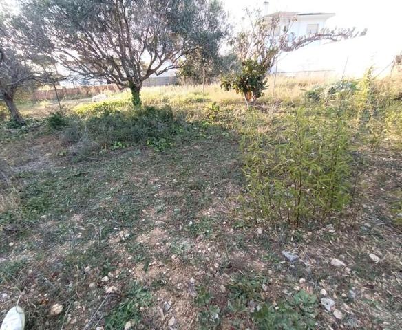 Terreno en venta en Cunit, Can Nicolau photo 0