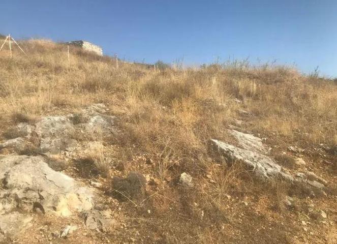 Terreno en venta en El Molar, El Molar photo 0