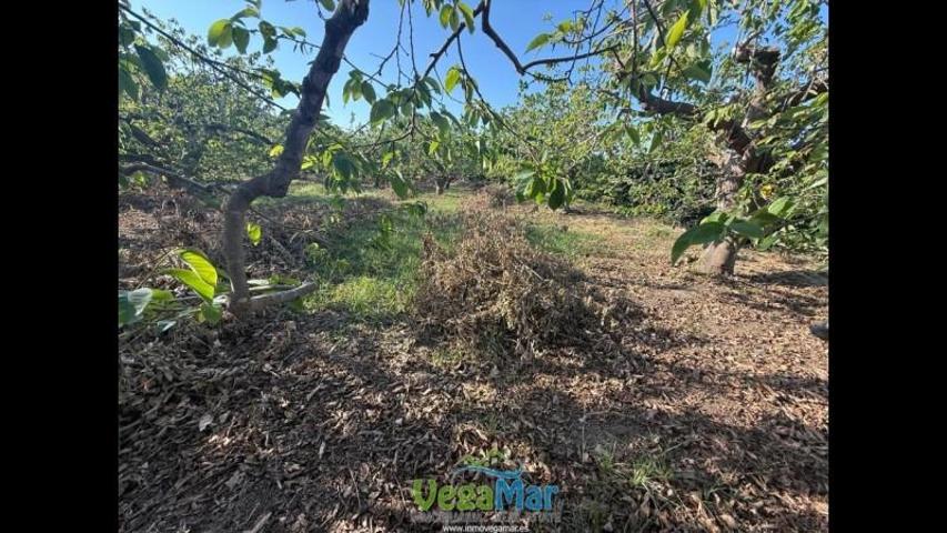 Terreno en venta en Almuñécar, Barranco Itrabo, 18690 photo 0