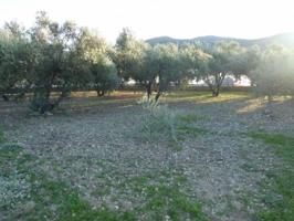 Terreno en venta en Dalías, CAMPO DE FUTBOL photo 0