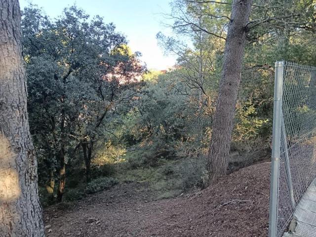 Terreno en venta en Castellvell del Camp, Les arboceres photo 0