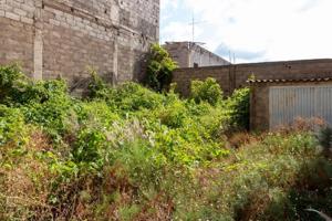 Terreno en venta en La Laguna, El Cardonal photo 0