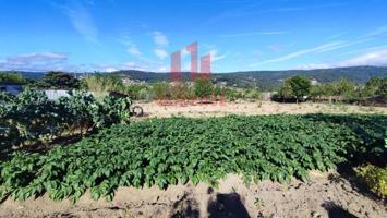 Chalet en venta en San Cibrao das Viñas, Piñeiral photo 0
