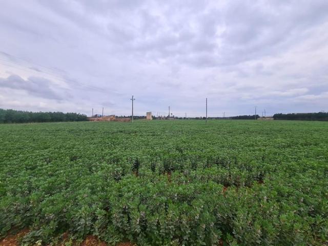 Chalet en venta en Llubí photo 0