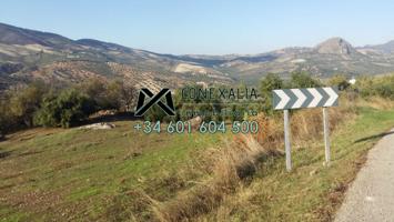 Terreno en venta en Olvera, Olvera photo 0