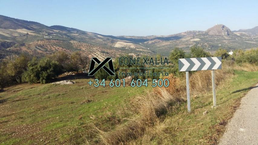 Terreno en venta en Olvera, Olvera photo 0