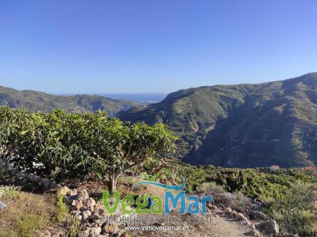 Terreno en venta en Otívar photo 0