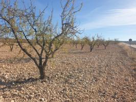 Terreno en venta en Jumilla photo 0