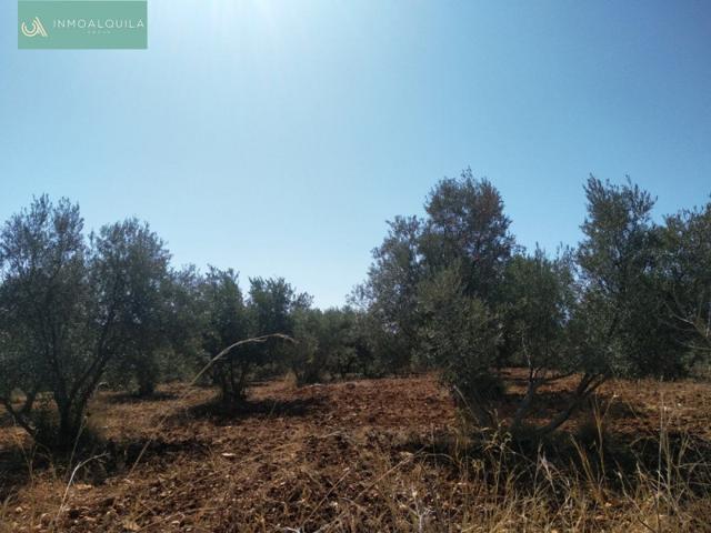 Terreno en venta en Selva, Afueras photo 0