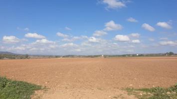 Terreno en venta en Manacor, Manacor photo 0