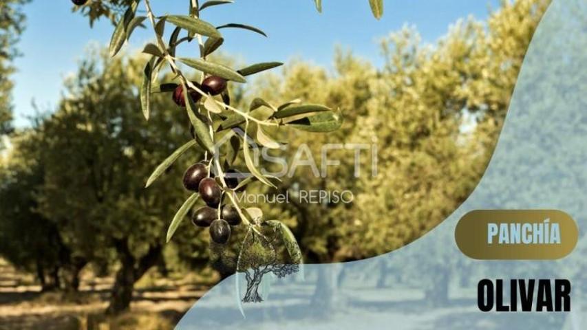 Terreno en venta en Montilla photo 0