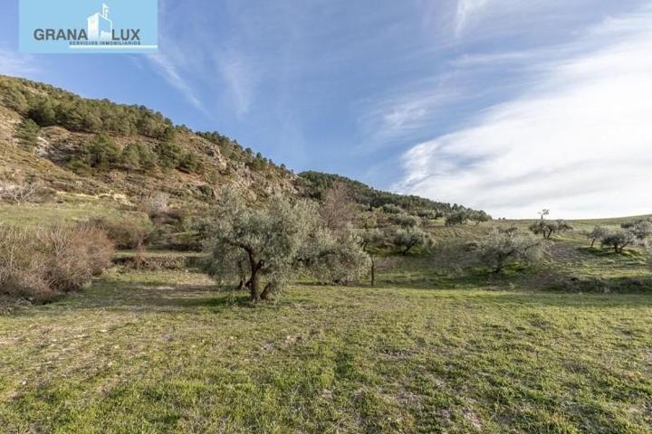 Terreno en venta en Monachil, Monachil photo 0