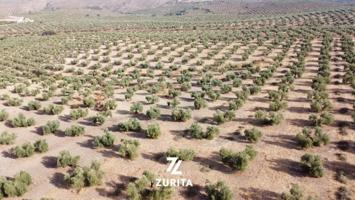 Terreno en venta en Montoro, POLIGONO INDUSTRIAL EL OLMO photo 0