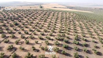 Terreno en venta en Montoro, POLIGONO INDUSTRIAL EL OLMO photo 0