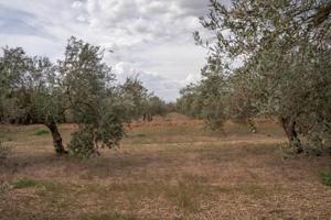 Terreno en venta en Las Gabias, CAMPO DE GOLF photo 0