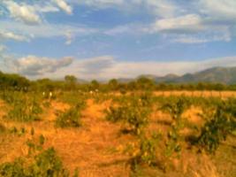 Terreno en venta en Zarza de Granadilla, Zarza de granadilla photo 0