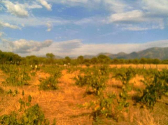 Terreno en venta en Zarza de Granadilla, Zarza de granadilla photo 0