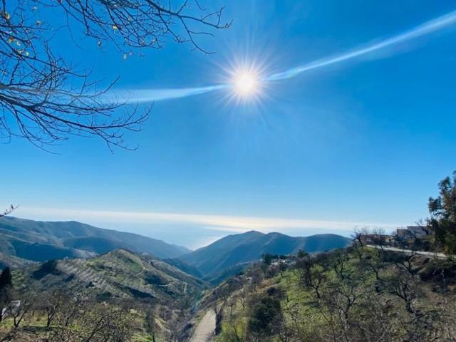 Local comercial en venta en Sorvilán, Centro urbano photo 0