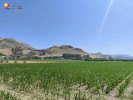 Terreno en venta en Atarfe, Vega de granada zona noroeste photo 0