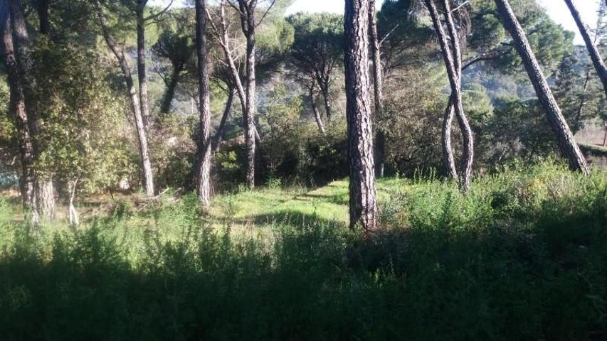 Terreno en venta en Córdoba, Trassierra - Las Jaras photo 0