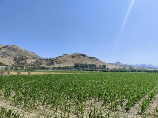 Terreno en venta en Atarfe, Vega de granada zona noroeste photo 0