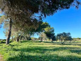 Chalet en venta en Villanueva de los Castillejos, Villanueva De Los Castillejos photo 0