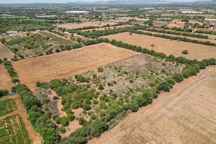 Terreno en venta en Felanitx, Felanitx photo 0