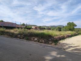 Terreno en venta en Ulldecona, Ulldecona photo 0