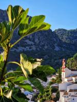Casa en venta en Ubrique, CASCO ANTIGUO photo 0