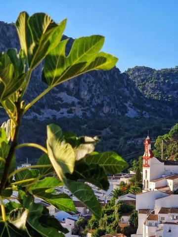 Casa en venta en Ubrique, CASCO ANTIGUO photo 0