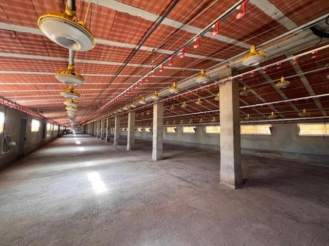 Nave industrial en venta en Alcublas, POBLACION photo 0