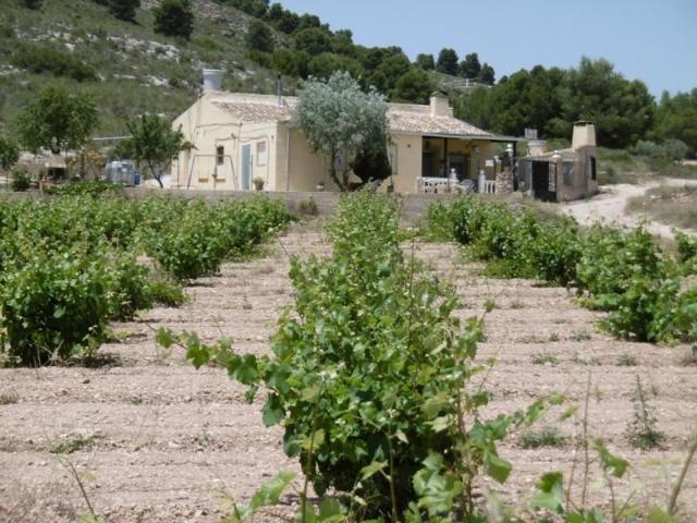 Casa con terreno en venta en Yecla photo 0