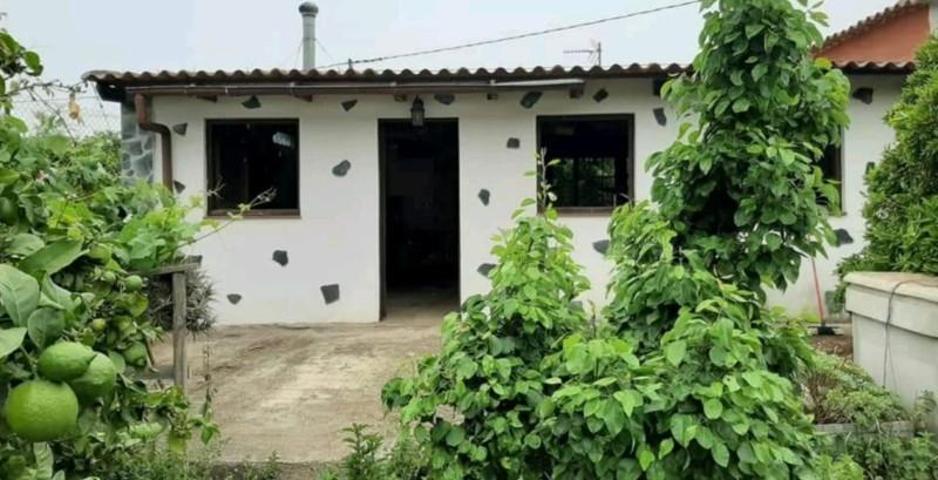 Terreno en venta en Los Realejos, Palo Blanco photo 0