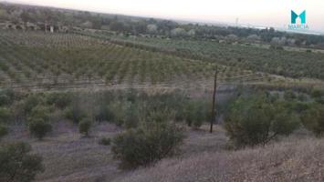 Chalet en venta en Sanlúcar la Mayor, Centro photo 0