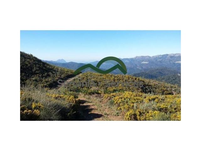 Casa con terreno en venta en Faraján photo 0