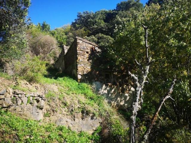 Casa con terreno en venta en Genalguacil photo 0