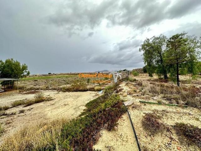 Casa con terreno en venta en Novelda, HORNA ALTA photo 0