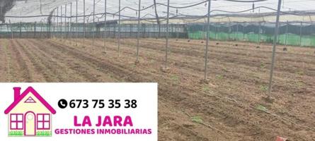 Terreno en venta en Sanlúcar de Barrameda, Camino de la Reyerta, 11550 photo 0