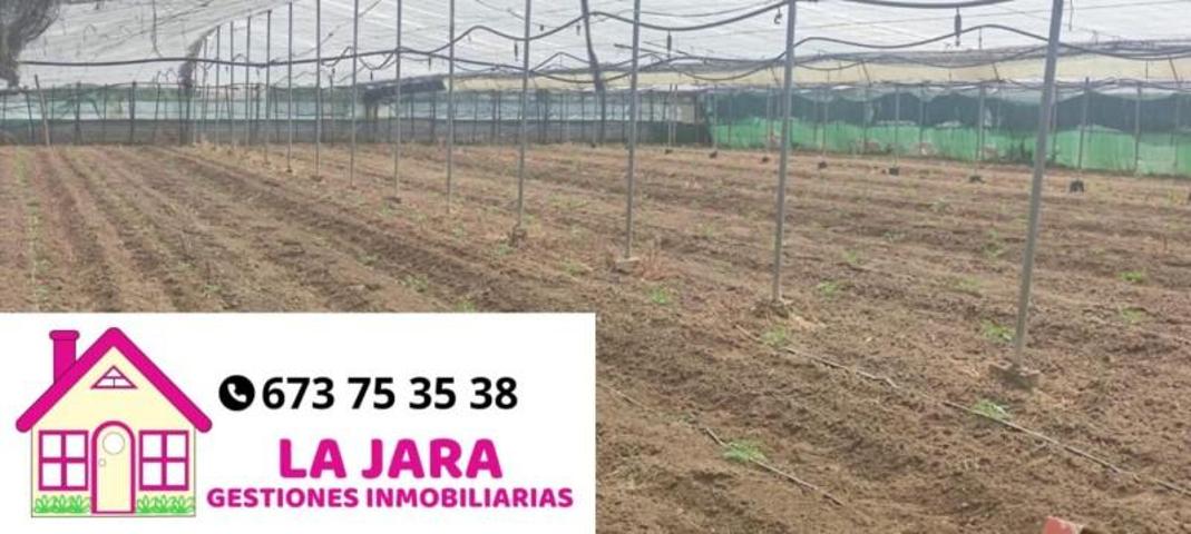 Terreno en venta en Sanlúcar de Barrameda, Camino de la Reyerta, 11550 photo 0