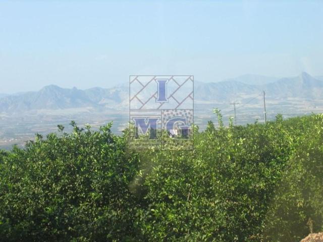 Terreno en venta en Santomera photo 0