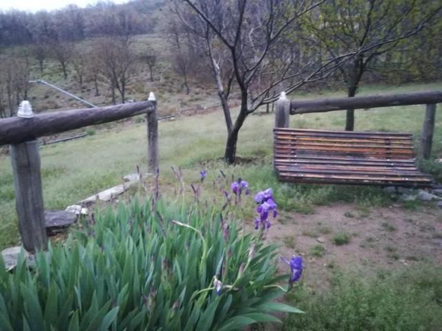 Chalet en venta en Güejar Sierra, Güéjar Sierra photo 0