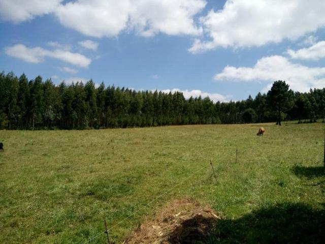 Terreno en venta en Ordes, A brea photo 0