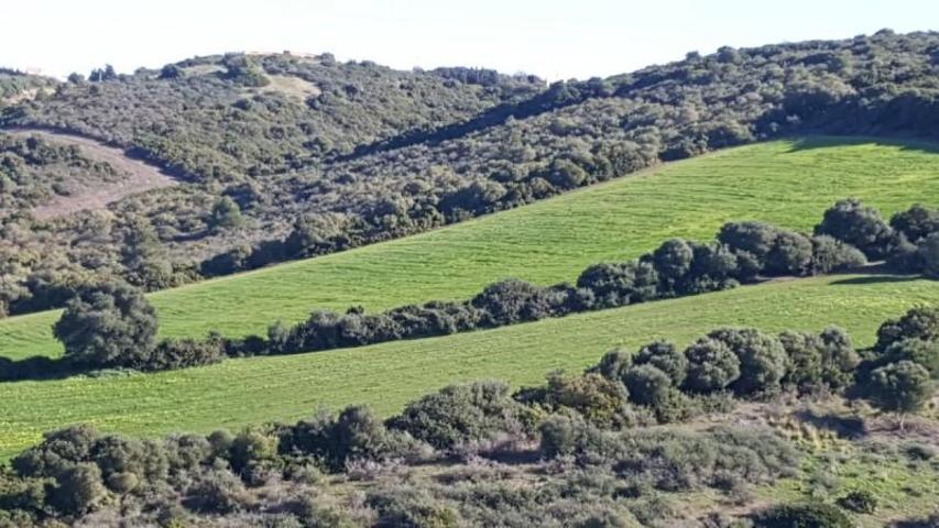 Terreno en venta en Vejer de la Frontera, Patria photo 0
