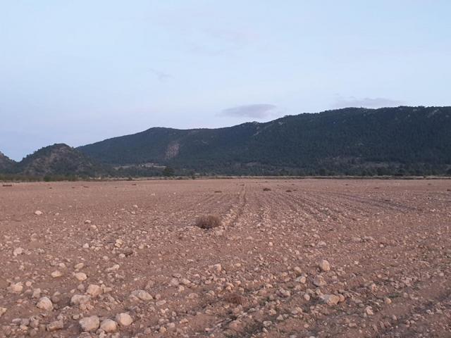 Terreno en venta en Jumilla, CORREDERA, 30520 photo 0