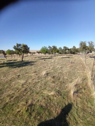 Casa con terreno en venta en Cáceres, CARRETERA DE BADAJOZ photo 0