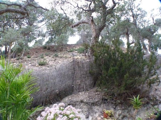 Terreno en venta en Lloret de Mar, La Selva photo 0
