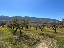 Terreno en venta en Dílar, Dilar photo 0