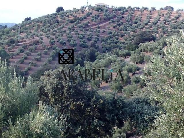 Chalet en venta en Montoro, POLIGONO INDUSTRIAL ATALAYA Y MORRON photo 0