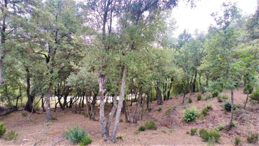 Terreno en venta en Matadepera, Les Pedritxes photo 0